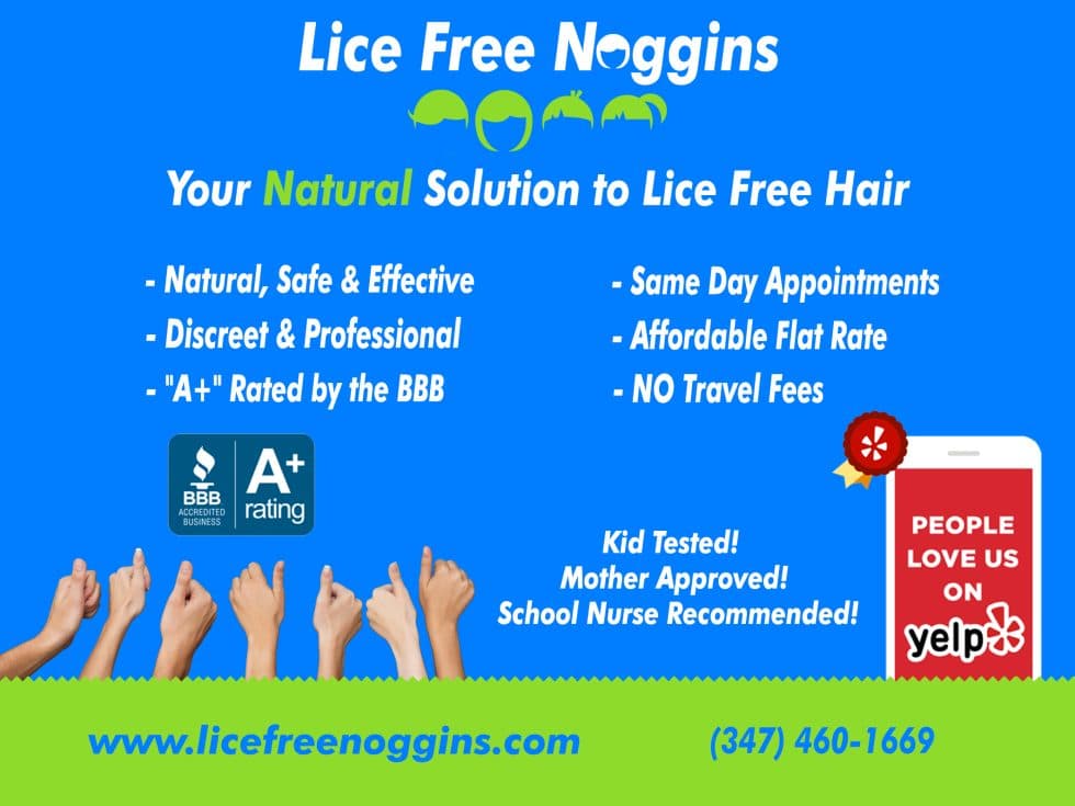 Client Spotlight: Lice Free Noggins – A Leader in Lice Removal in Brooklyn